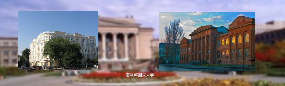 江苏师范大学中俄学院 圣彼得堡彼得大帝理工大学联合